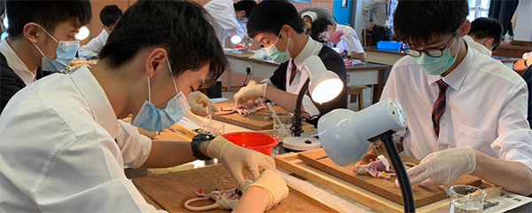 香港|香港插班|香港中學(xué)|香港新移民|新來港家庭|香港Band1中學(xué)|香港中學(xué)|香港插班申請|香港升中|香港春季插班|香港秋季插班|香港Band1中學(xué)