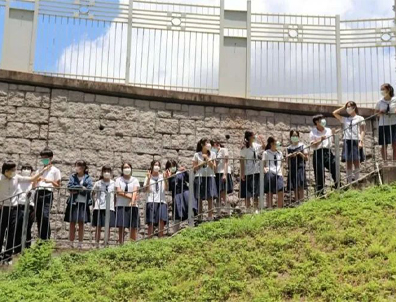 香港插班，DSE和A-Level，哪個更容易考港八大？看完我徹底悟了！